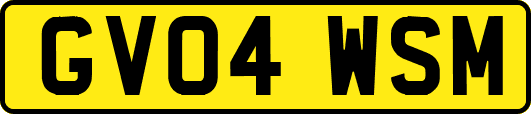 GV04WSM