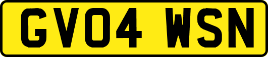 GV04WSN
