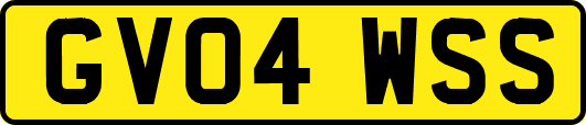 GV04WSS