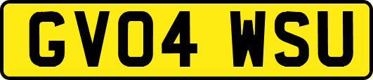 GV04WSU