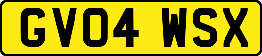 GV04WSX