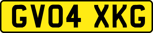 GV04XKG