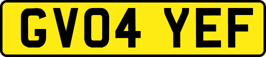 GV04YEF