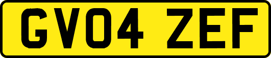 GV04ZEF