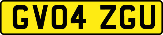 GV04ZGU