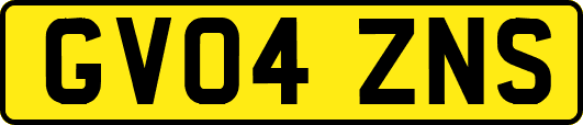 GV04ZNS