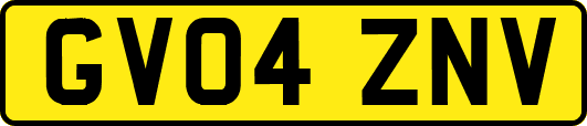 GV04ZNV