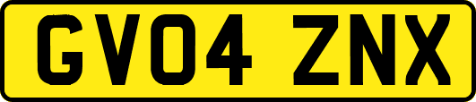 GV04ZNX