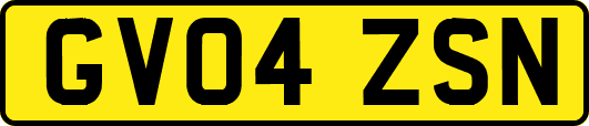 GV04ZSN
