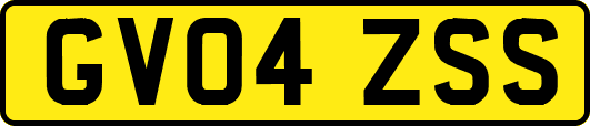 GV04ZSS