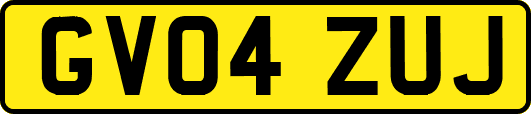 GV04ZUJ