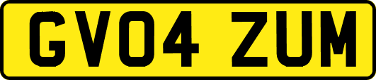 GV04ZUM