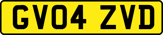 GV04ZVD