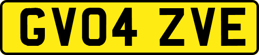 GV04ZVE