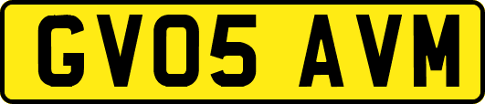GV05AVM