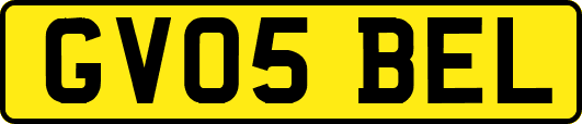 GV05BEL