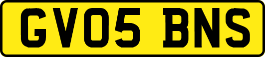 GV05BNS