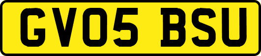 GV05BSU
