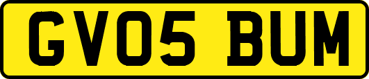 GV05BUM