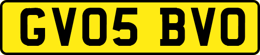 GV05BVO