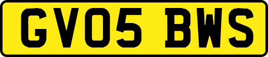 GV05BWS