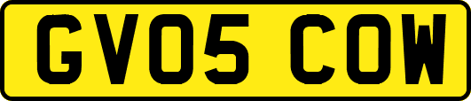 GV05COW