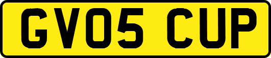 GV05CUP