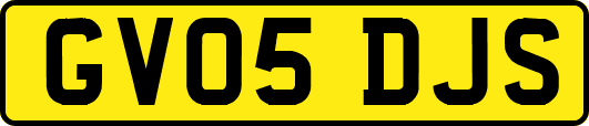 GV05DJS