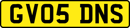 GV05DNS