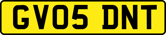 GV05DNT