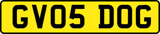 GV05DOG