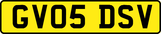 GV05DSV