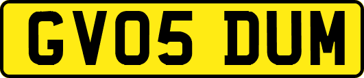 GV05DUM