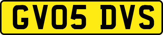 GV05DVS