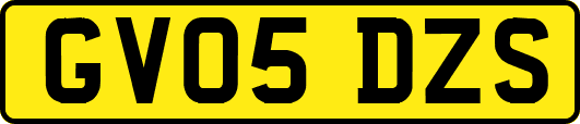 GV05DZS