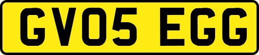 GV05EGG