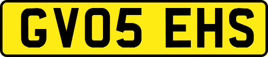 GV05EHS