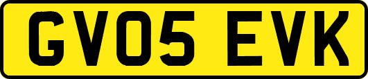 GV05EVK