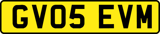 GV05EVM