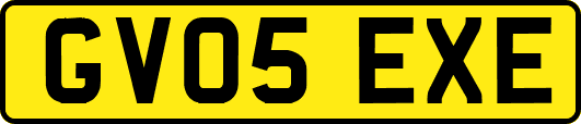 GV05EXE