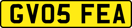 GV05FEA