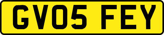 GV05FEY