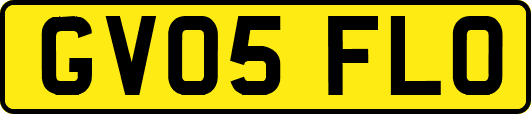 GV05FLO