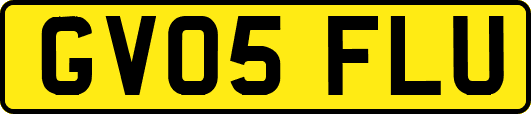 GV05FLU