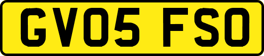 GV05FSO