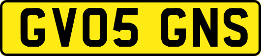 GV05GNS