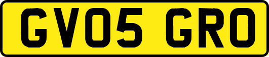 GV05GRO