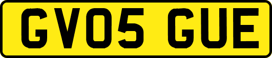 GV05GUE