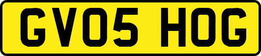 GV05HOG