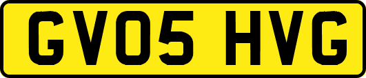 GV05HVG